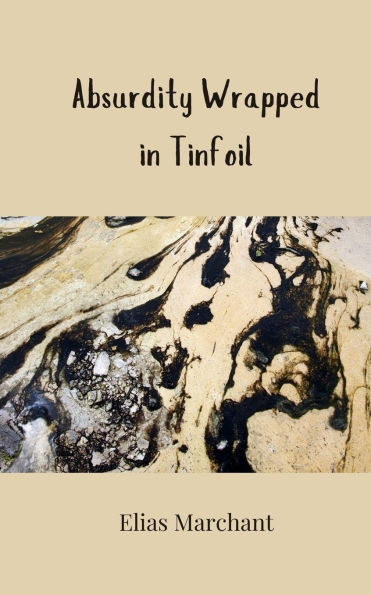 Absurdity Wrapped in Tinfoil - (Paperback or Softback)