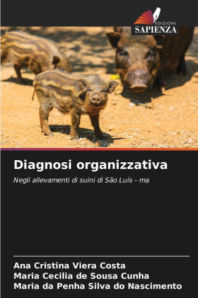 Diagnosi organizzativa