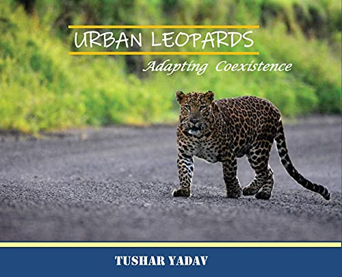 Urban Leopards, Adapting Coexistence