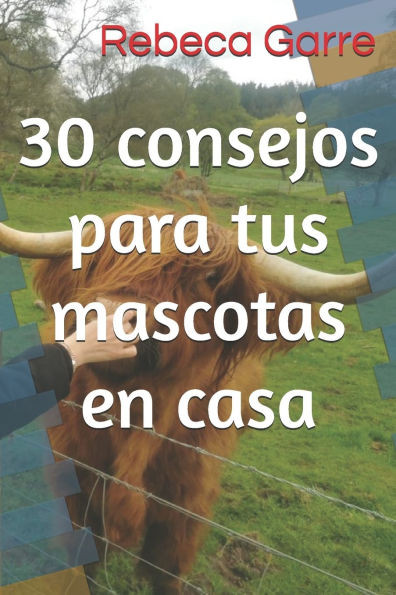30 consejos para tus mascotas en casa