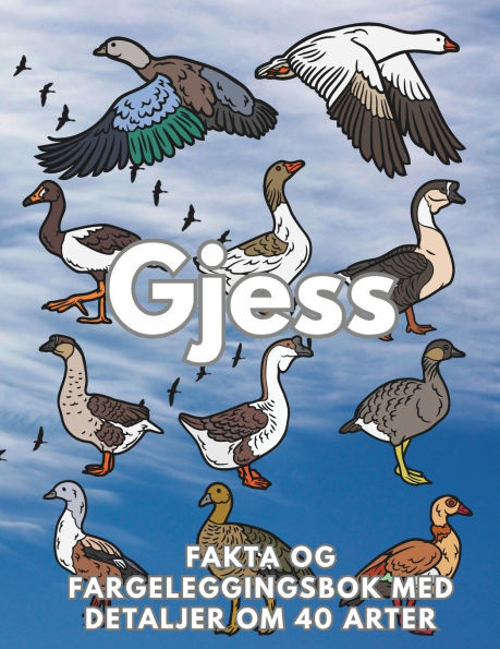 Gjess fakta og fargeleggingsbok: Aktivitetsbok for barn i alderen 2 til 16 år