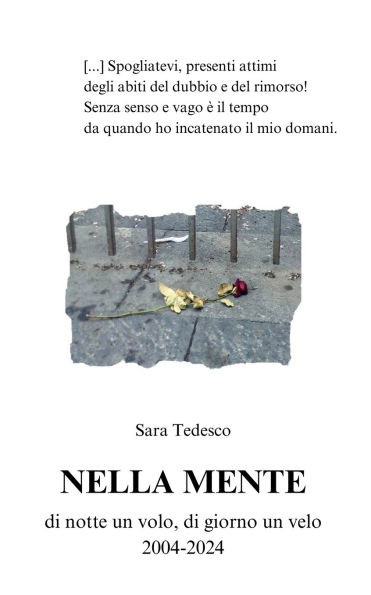 Nella Mente: di notte un volo, di giorno un velo