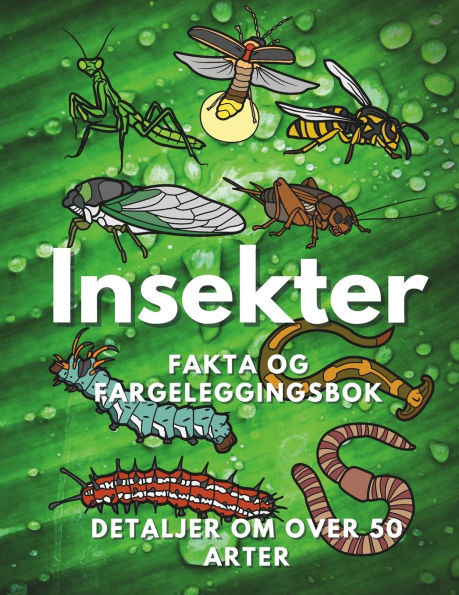 Insekter: Fakta og fargeleggingsbok: Aktivitetsbok for barn i alderen 2 til 16 år