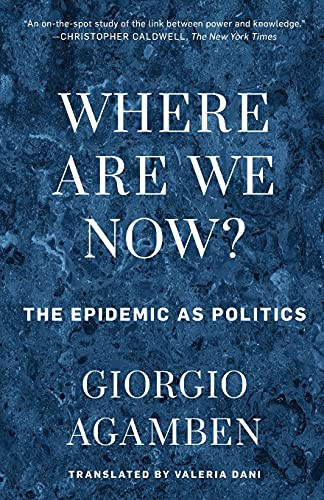 Where Are We Now?: The Epidemic As Politics