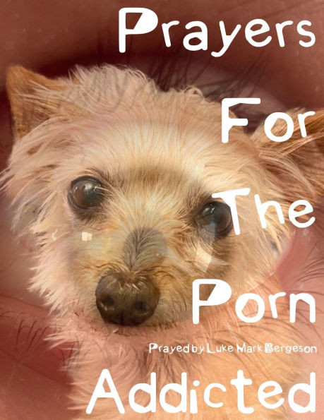 Prayers For The Porn Addicted - 9798316778461