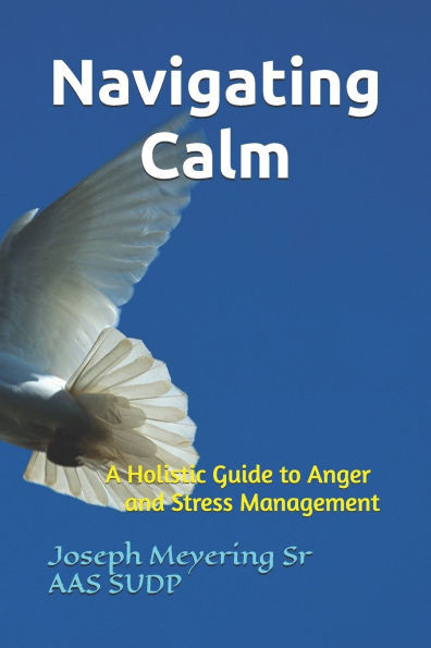 Navigating Calm: A Holistic Guide to Anger and Stress Management