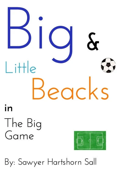 The Big Game - (Hardback or Cased Book)