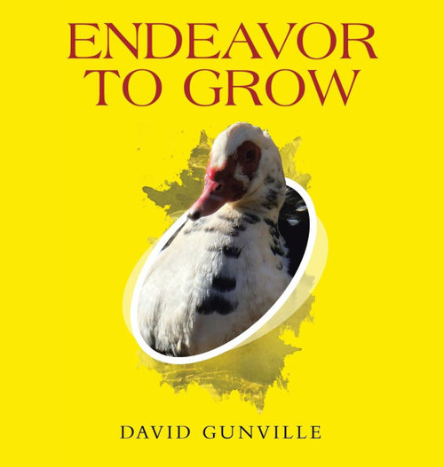 Endeavor to Grow - (Hardback or Cased Book)
