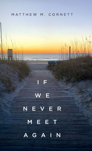 If We Never Meet Again - (Hardback or Cased Book)