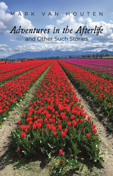 Adventures in the Afterlife and Other Such Stories