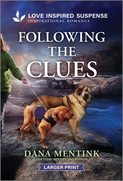 Following the Clues - 9781335638755