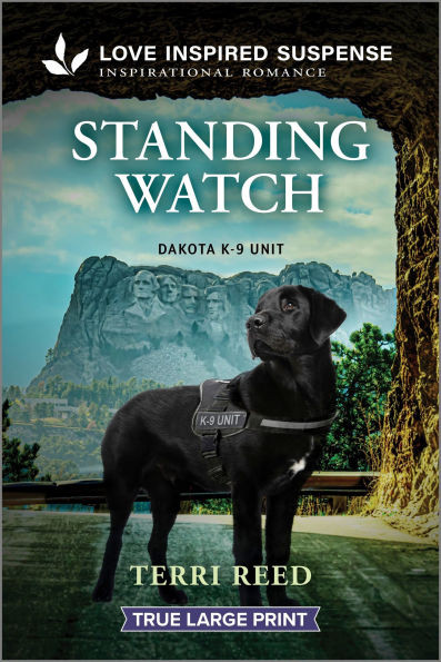 Standing Watch - 9781335484161