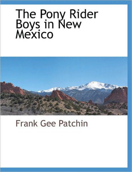 The Pony Rider Boys in New Mexico Large Print