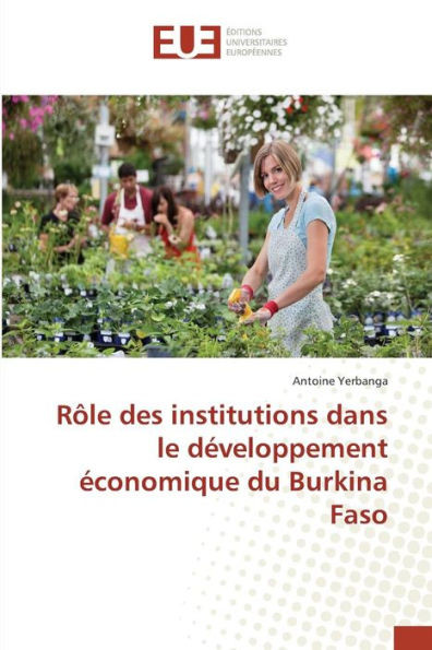 RÃ´le Des Institutions Dans Le DÃ©veloppement Ã‰conomique Du Burkina Faso