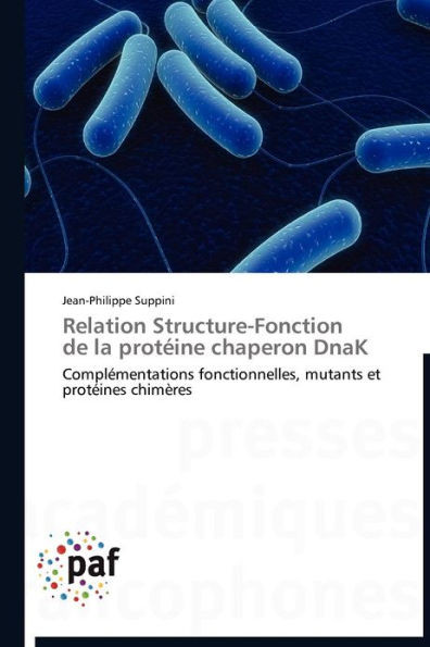 Relation Structure-Fonction de la ProtÃ©ine Chaperon Dnak