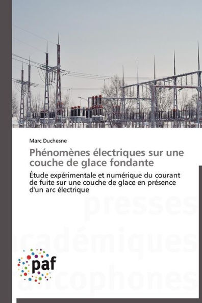 PhÃ©nomÃ¨nes Ã‰lectriques Sur Une Couche de Glace Fondante