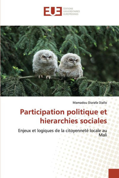 Participation politique et hierarchies sociales