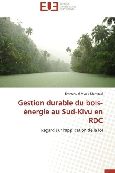 Gestion Durable Du Bois-Énergie Au Sud-Kivu En Rdc