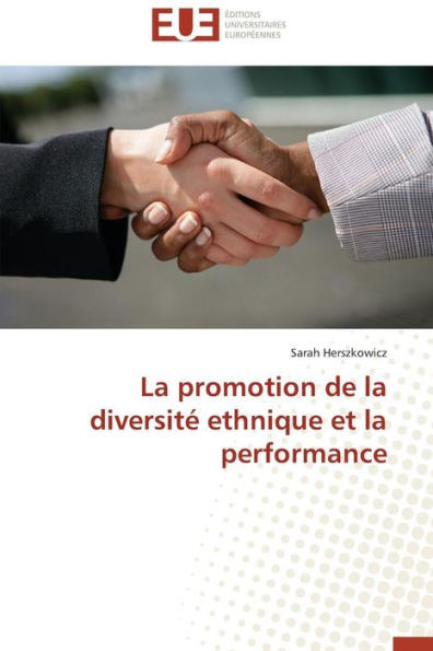 La Promotion de la DiversitÃ© Ethnique Et La Performance