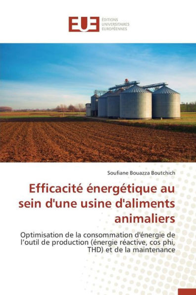 EfficacitÃ© Ã‰nergÃ©tique Au Sein d'Une Usine d'Aliments Animaliers