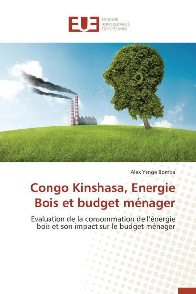 Congo Kinshasa, Energie Bois Et Budget Ménager