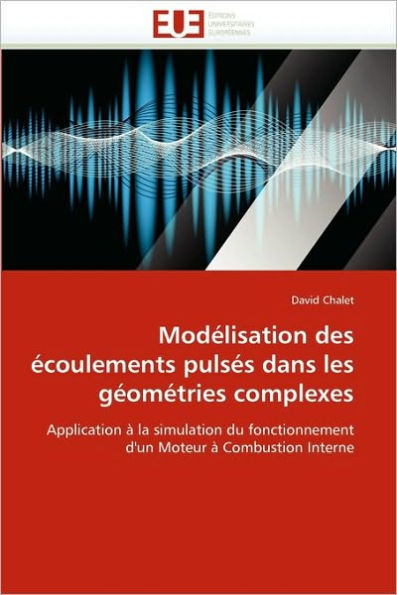 Modélisation Des Écoulements Pulsés Dans Les Géométries Complexes