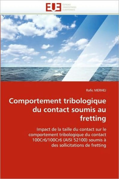 Comportement Tribologique Du Contact Soumis Au Fretting