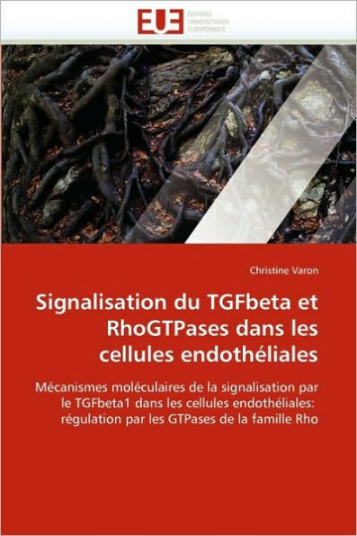 Signalisation Du Tgfbeta Et Rhogtpases Dans Les Cellules EndothÃ©liales