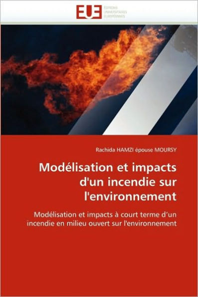 ModÃ©lisation Et Impacts d''un Incendie Sur l''environnement