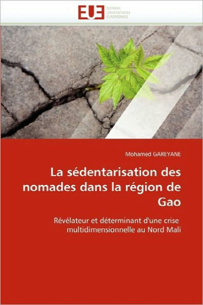 La SÃ©dentarisation Des Nomades Dans La RÃ©gion de Gao