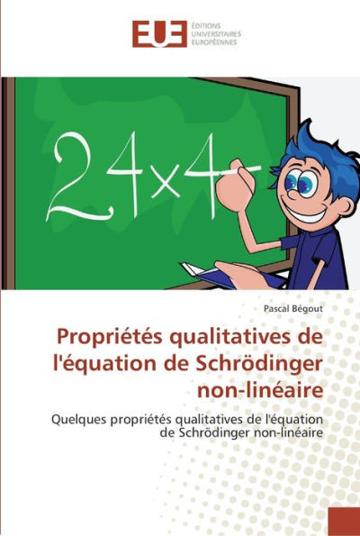 Propriétés qualitatives de l'équation de schrödinger non-linéaire