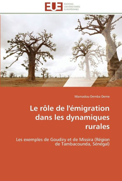 Les tice au cameroun