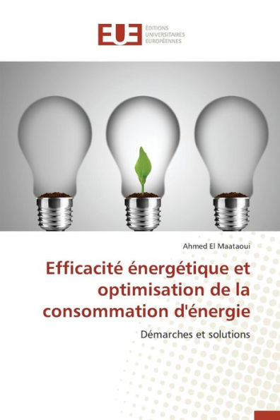 Efficacité Énergétique Et Optimisation de la Consommation d'Énergie