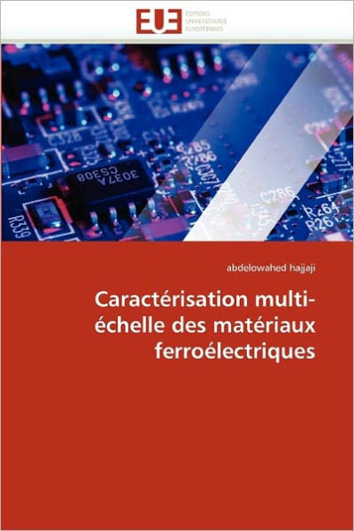 CaractÃ©risation Multi-Ã‰chelle Des MatÃ©riaux FerroÃ©lectriques