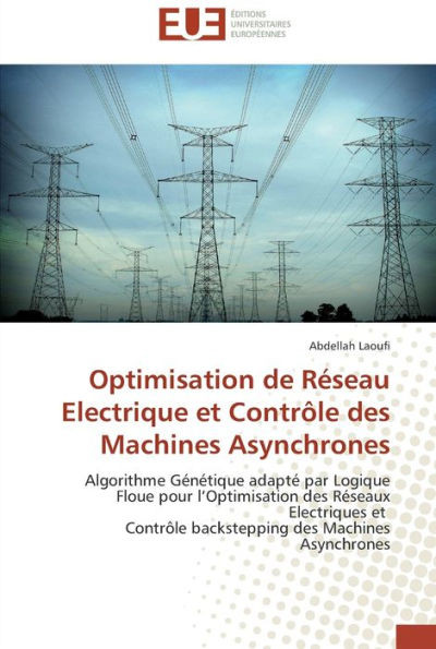 Optimisation de rÃ©seau electrique et contrÃ´le des machines asynchrones
