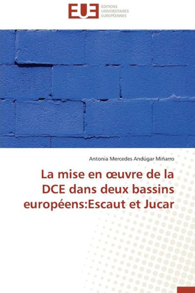 La Mise En Uvre de la DCE Dans Deux Bassins EuropÃ©ens: Escaut Et Jucar