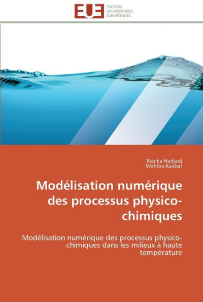 Modélisation numérique des processus physico-chimiques