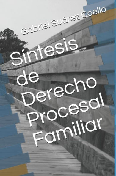 SÃ­ntesis de Derecho Procesal Familiar
