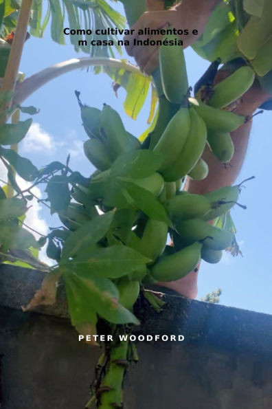 Como cultivar alimentos em casa na Indonésia
