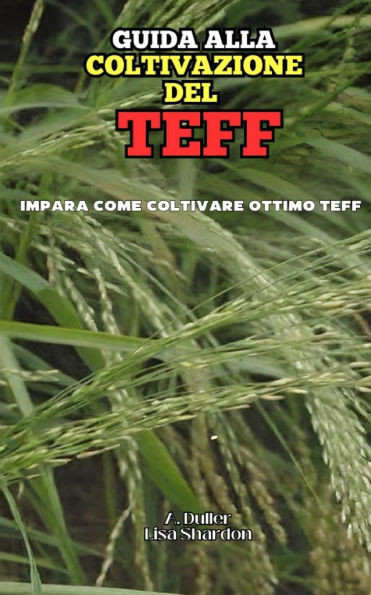 Guida alla Coltivazione del Teff