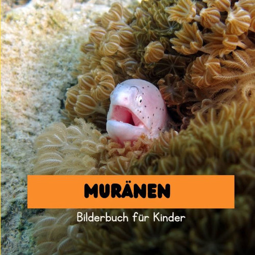 Muränen: Bilderbuch für Kinder