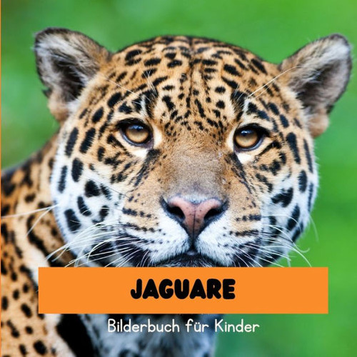 Jaguare: Bilderbuch fÃ¼r Kinder