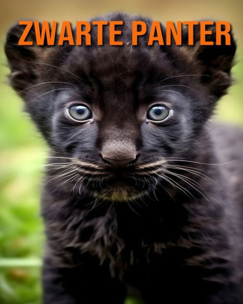 Zwarte Panter: Een Prentenboek met Leuke Feiten over de Zwarte Panter