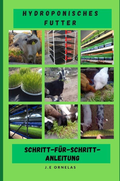 Hydroponisches Futter Schritt fÃ¼r Schritt Anleitung