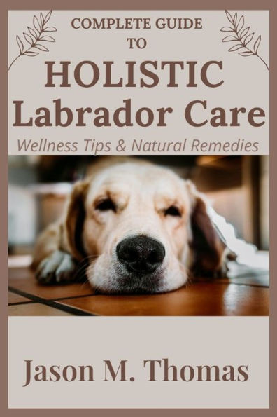 Complete Guide to Holistic Labrador Care: Wellness Tips & Natural Remedies.
