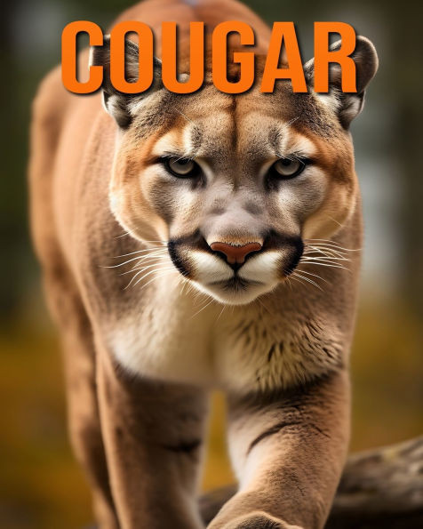 Cougar: Fun and Fascinating Facts and Pictures About Cougar