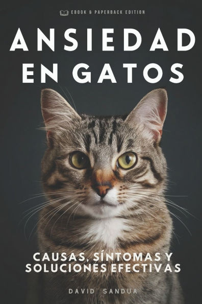 Ansiedad En Gatos: Causas, Sintomas Y Soluciones Eficaces