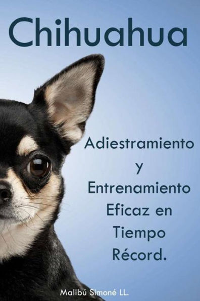 Chihuahua: Adiestramiento y Entrenamiento Eficaz en Tiempo Record.