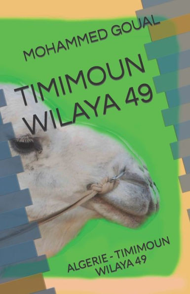 Timimoun Wilaya 49: Algerie - Timimoun Wilaya 49