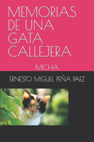 Memorias de Una Gata Callejera: Micha